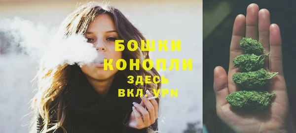 бошки Коряжма