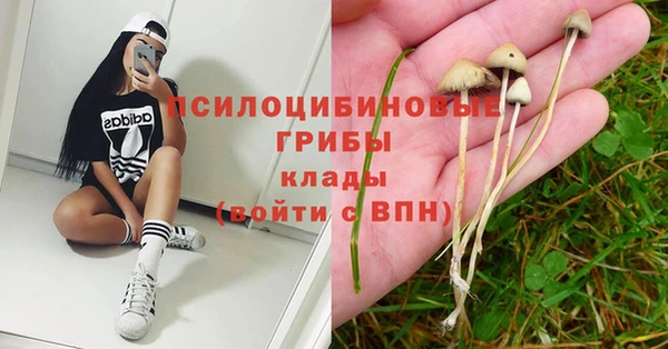 бошки Коряжма