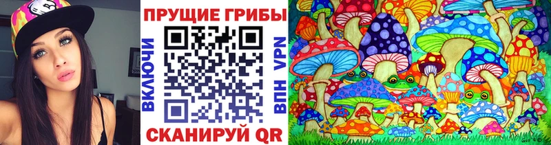Галлюциногенные грибы Psilocybe  блэк спрут ONION  Мелеуз 
