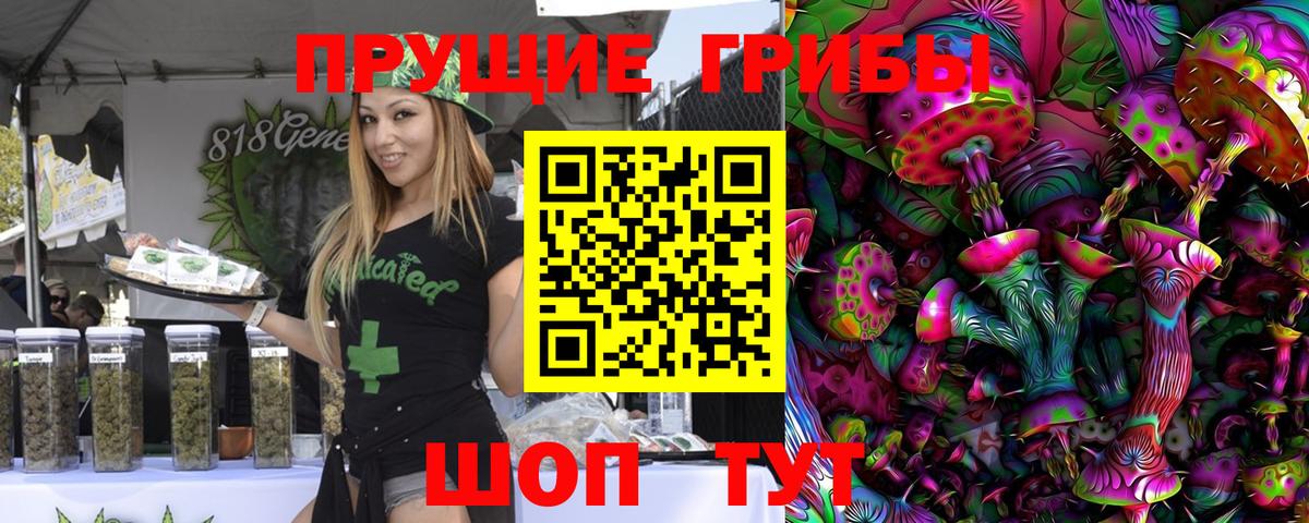 Галлюциногенные грибы Psilocybe  наркота  Вход с VPN  Мелеуз  Псилоцибиновые грибы Psilocybe 
