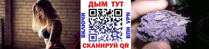 Конопля сатива Мелеуз